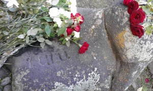 12168735_459871734217628_1625509384_o