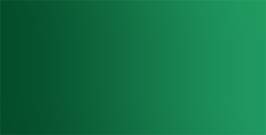 Dasellus ac nibh urna donec ac urna